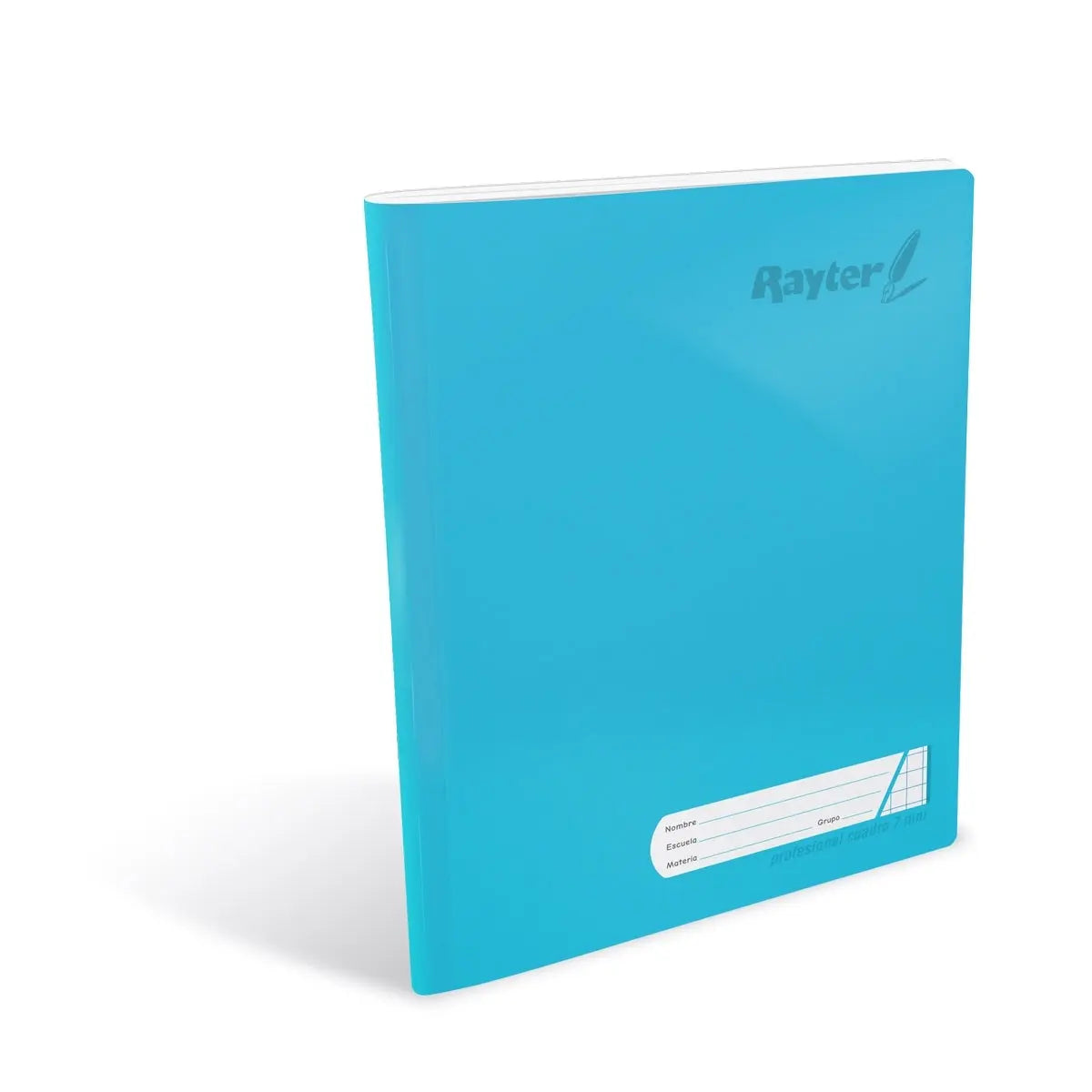 Cuaderno Profesional Cocido Rayter 100 Hojas Cuadro Chico 5mm - Rayter - contenido