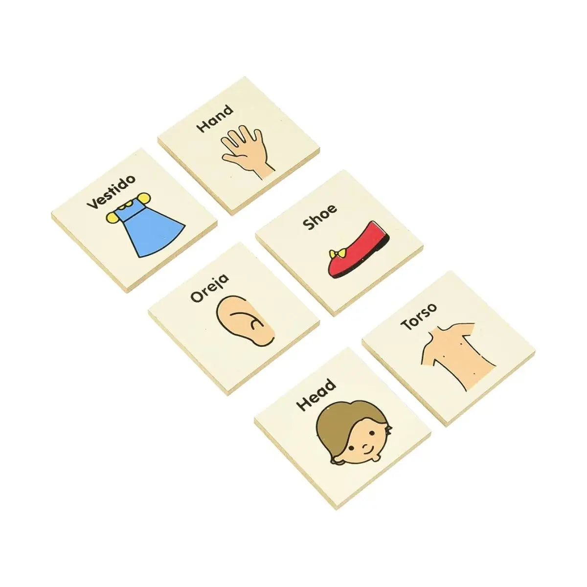 MEMORIA PARTES DEL CUERPO ¡NUEVO DISEÑO! - Diako - empaque