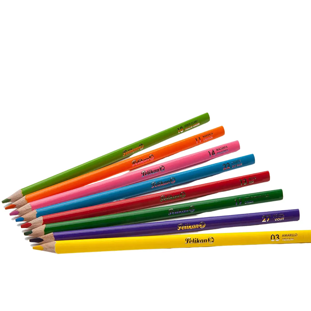 Lápices de Colores Triangular 4mm Pelikan 24 Piezas - Pelikan - vista lateral
