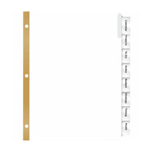 Separador Insertable con Pestañas Transparentes 8 Pestañas Avery - Avery - vista trasera