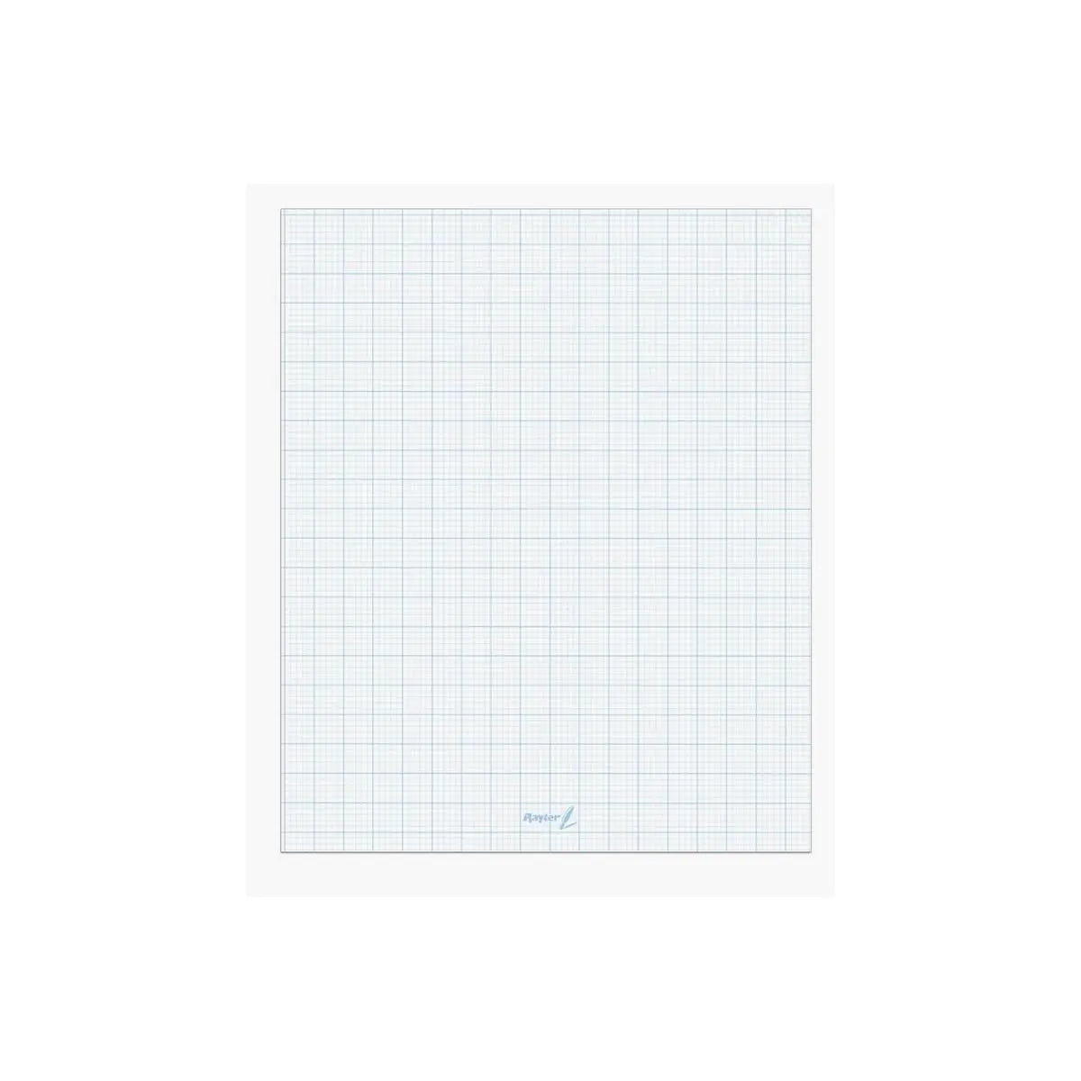 Block de 25 Hojas para Rotafolio 75g Azul 65 x90 cm RAYTER - Rayter