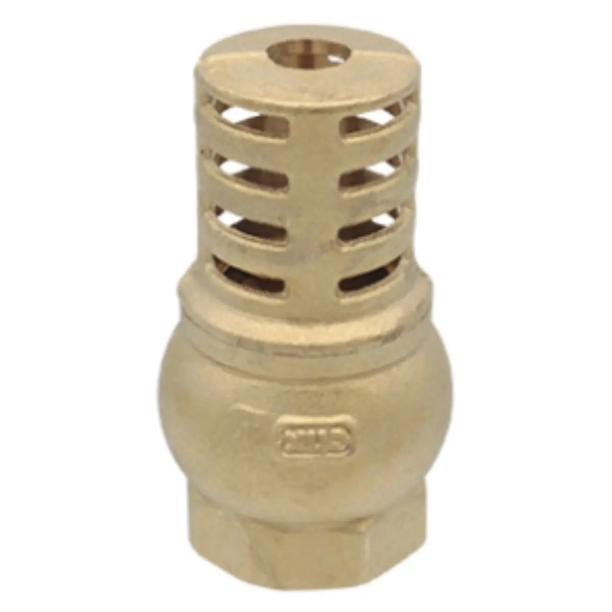 Valvula Pie CNX 3/4" Retencion Laton Agua - CNX - vista lateral