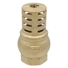 Valvula Pie CNX 3/4" Retencion Laton Agua - CNX - vista lateral