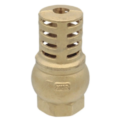 Valvula Pie CNX 3/4" Retencion Laton Agua - CNX - vista lateral