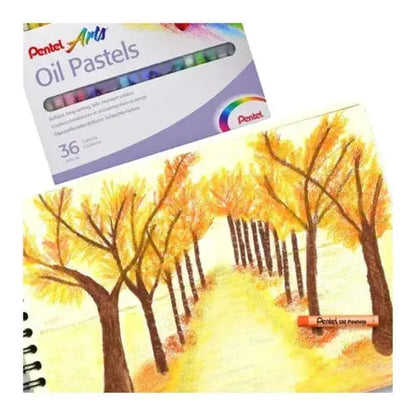 36 Pasteles Gises Tizas Aceite Pentel Arts Redondos Colores - Polvos Holi - vista trasera