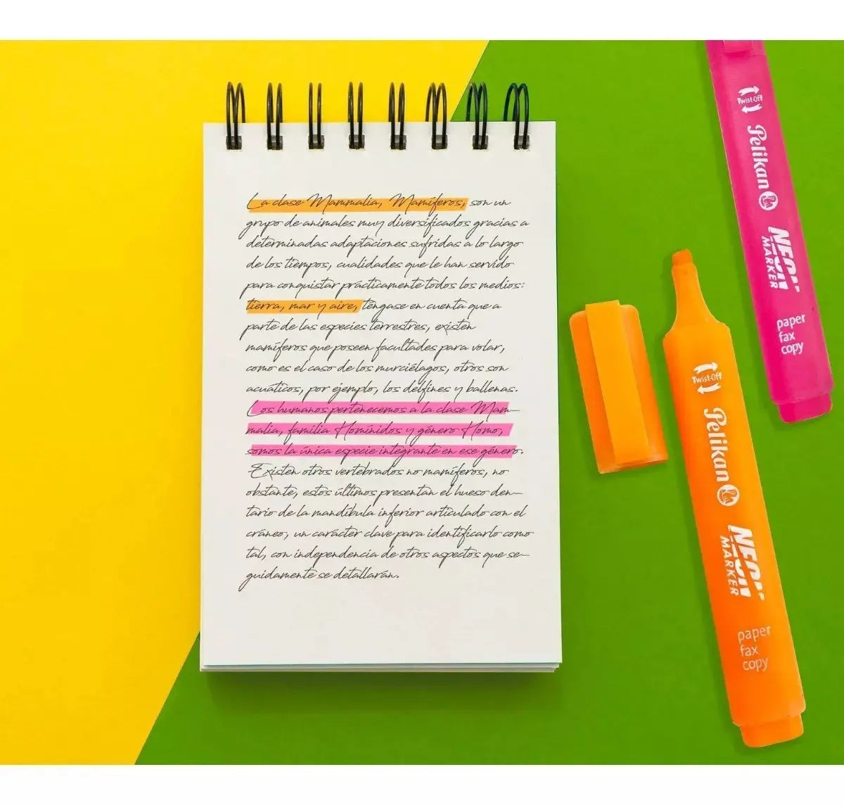 Marcatextos Resaltador Neon Marker Pelikan 10 Piezas Azul - Pelikan - contenido
