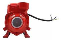 Bomba Agua Eléctrica 0.50 1/2 Hp Periférica Santul 2 Plantas - Santul - accesorios