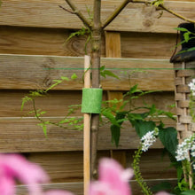 Cinta Plantas 10.6m Velcro - Velcro - vista lateral