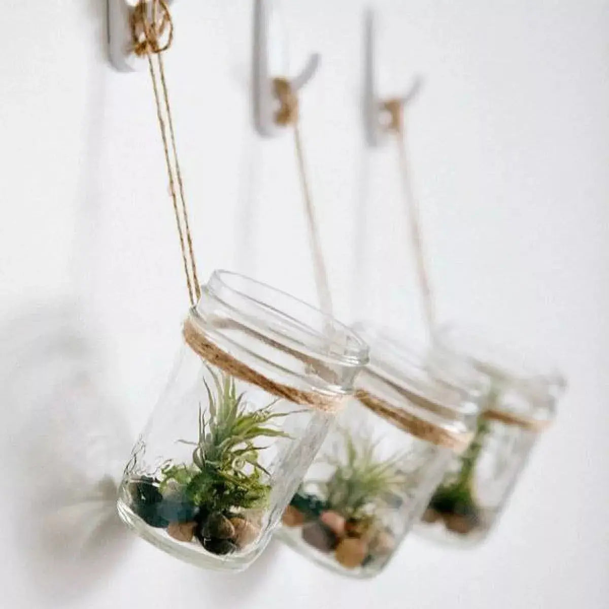 6pz Frasco Vidrio Mason Jars Ball 8oz Tarro Envase Tapa - marchante.shop - empaque