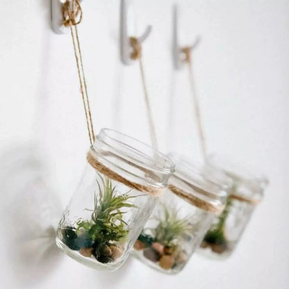 6pz Frasco Vidrio Mason Jars Ball 8oz Tarro Envase Tapa - marchante.shop - empaque