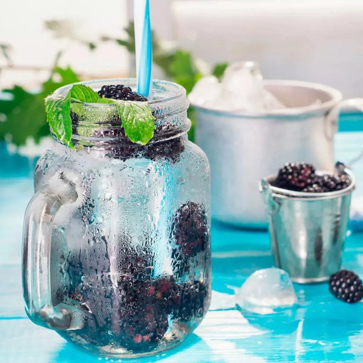 12pz Frasco Mason Jar Liso 480ml Tapa Popote Vidrio Colores - Vittori - detalle