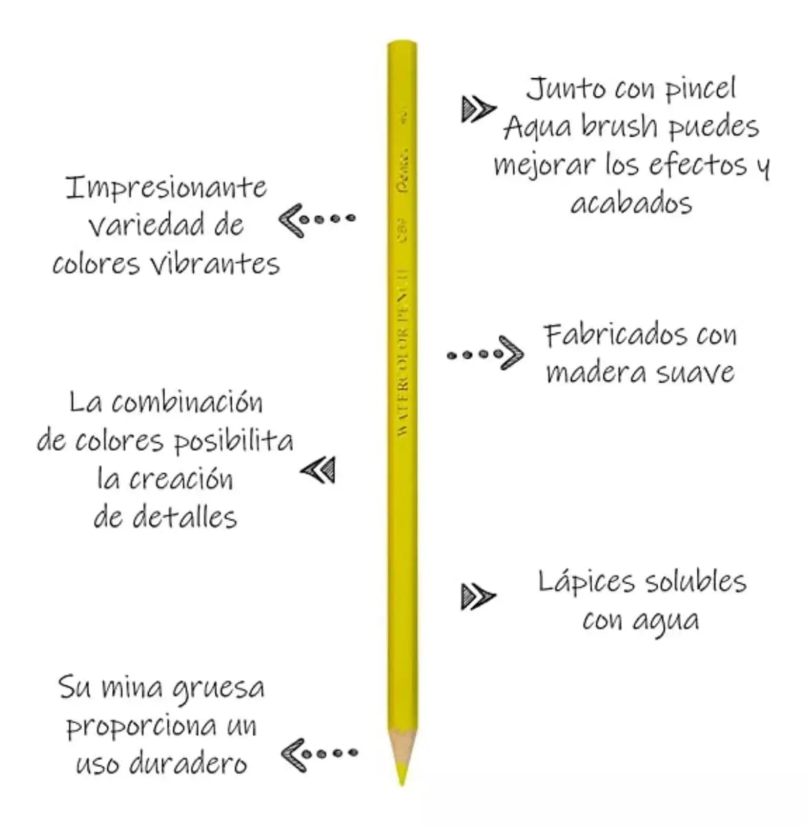 36 Lapiz Color Acuarelable Pentel Arts Profesionales Arte - Pentel - detalle