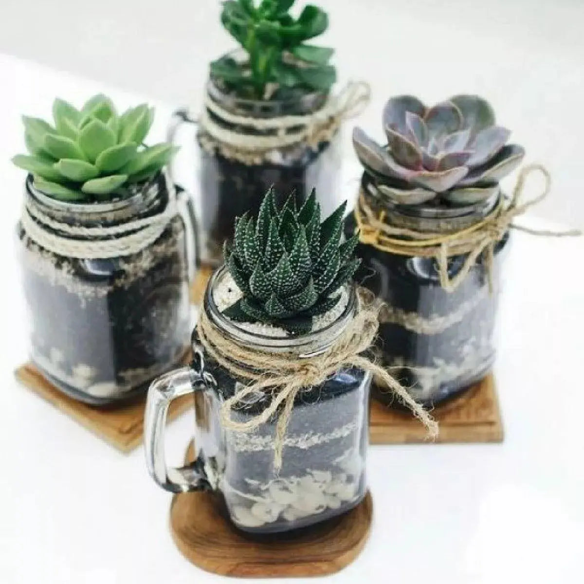 12pz Frasco Mason Jar Liso 480ml Tapa Popote Vidrio Colores - Vittori - vista trasera