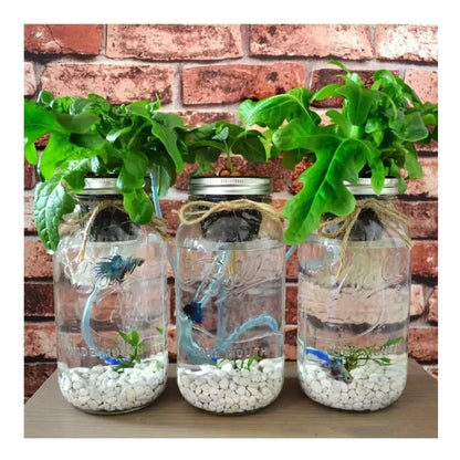 2pz Mason Jars Ball Hermetico Boca Regular 946 Ml Tapa Humo - Coveme - accesorios