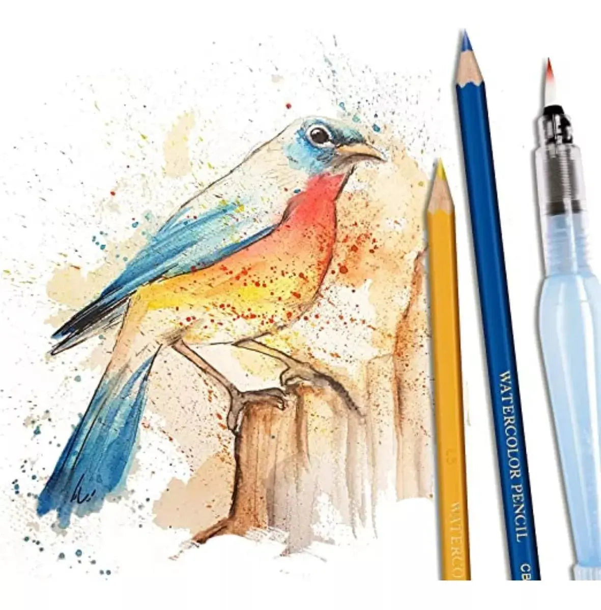 36 Lapiz Color Acuarelable Pentel Arts Profesionales Arte - Pentel - contenido