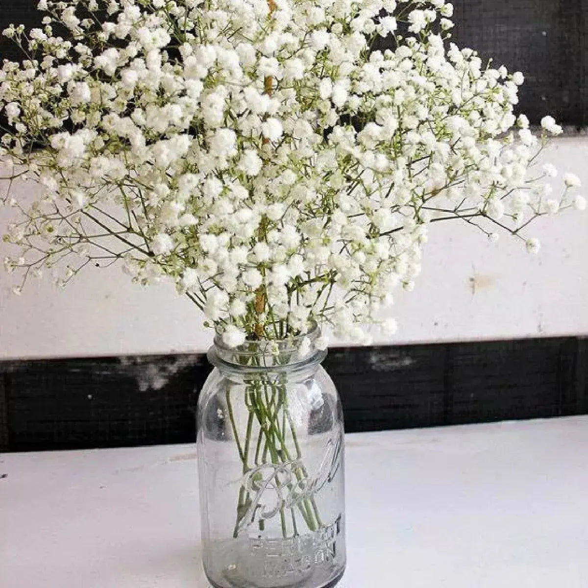 4pz Frascos Mason Jars Ball Vidrio Boca Regular 32oz Origina - marchante.shop - vista trasera