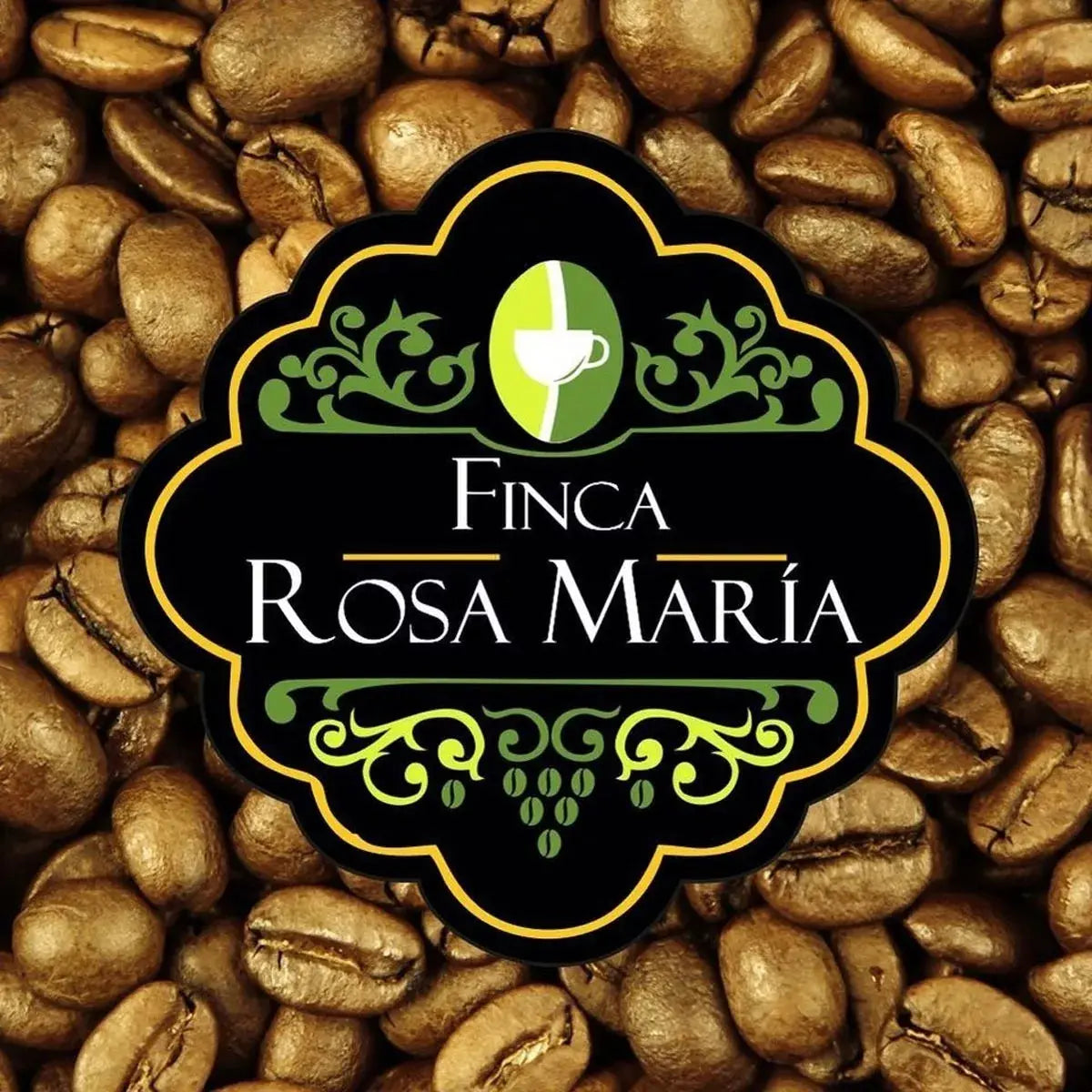 Café Gourmet Tostado Medio Chiapas 500g En Grano O Molido Expreso - finca rosa maría