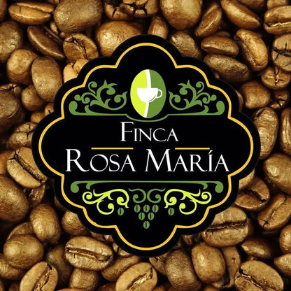 Café Gourmet Tostado Dark Finca Rosa María Bolsa 500g Americano - finca rosa maría - vista trasera