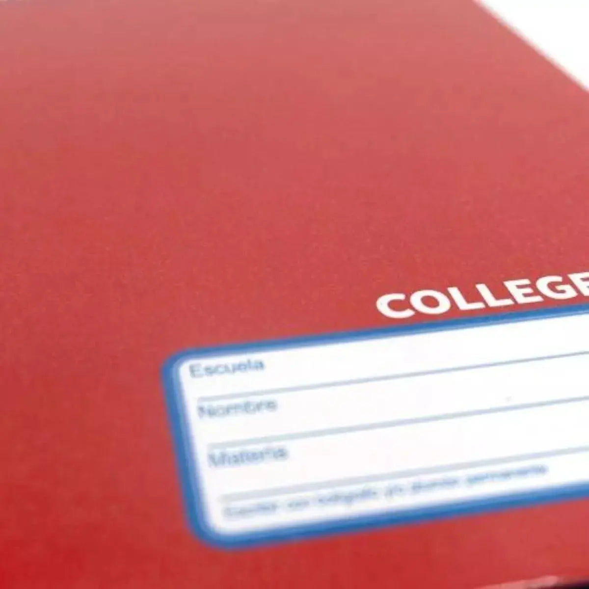 Cuaderno College 100 Hj Norma Color 360 Cosido Cuadro Chico - Norma - contenido