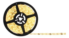 Tira C/300 Leds Luz Cálida Sanelec 3000k Largo 5m 24w - Sanelec - empaque