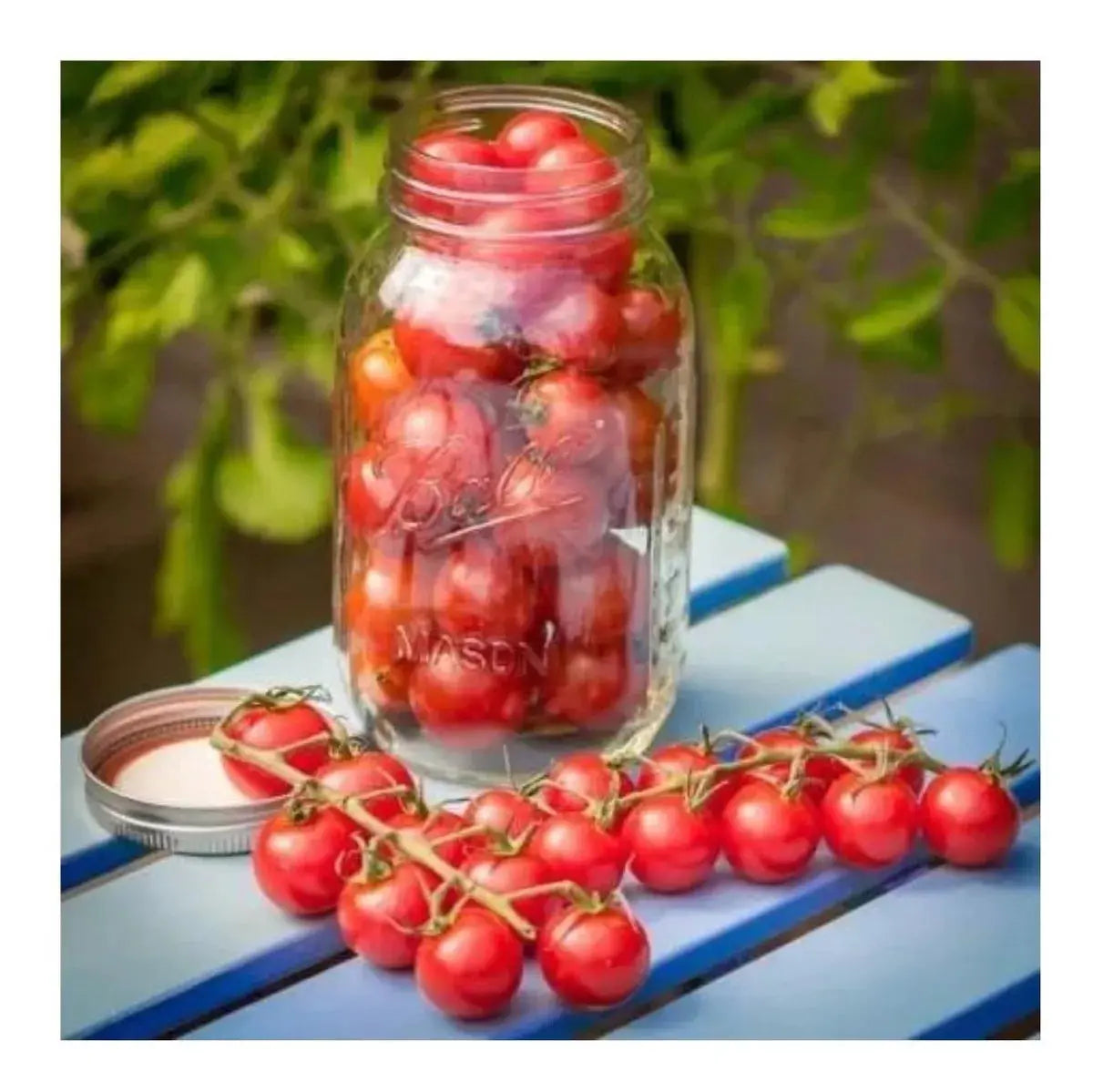 2pz Mason Jars Ball Hermetico Boca Regular 946 Ml Tapa Humo - Coveme - detalle