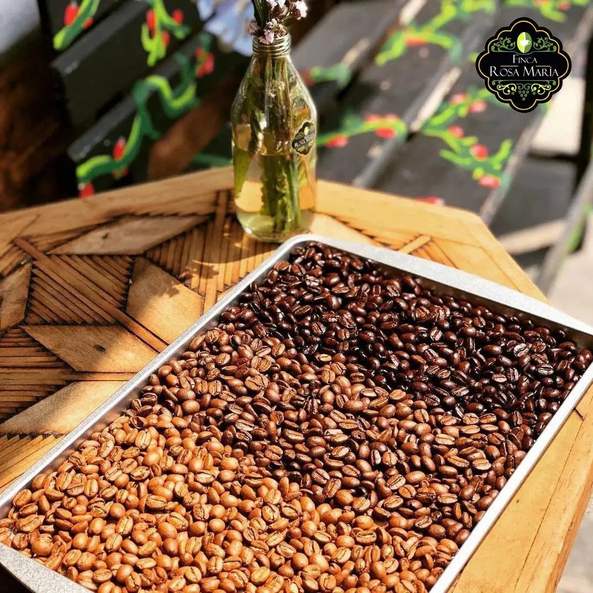 Café Gourmet Tostado Dark Chiapas 1kg En Grano O Molido Americano - finca rosa maría - vista trasera