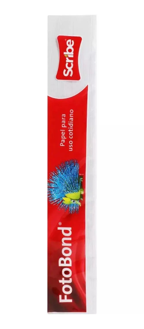 4 Paquetes 2000 Hojas Foto Bond Scribe Carta 95 % Blanco - Scribe