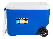 Hielera Portatil IGLOO Asas Llantas Resistente 36lts - Igloo - vista lateral