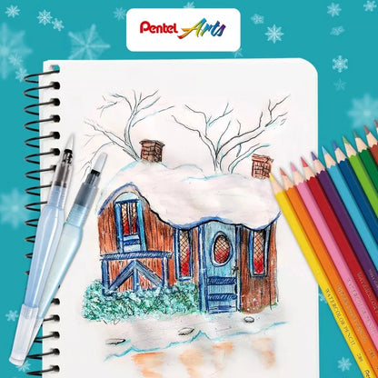 36 Lapiz Color Acuarelable Pentel Arts Profesionales Arte - Pentel - vista trasera