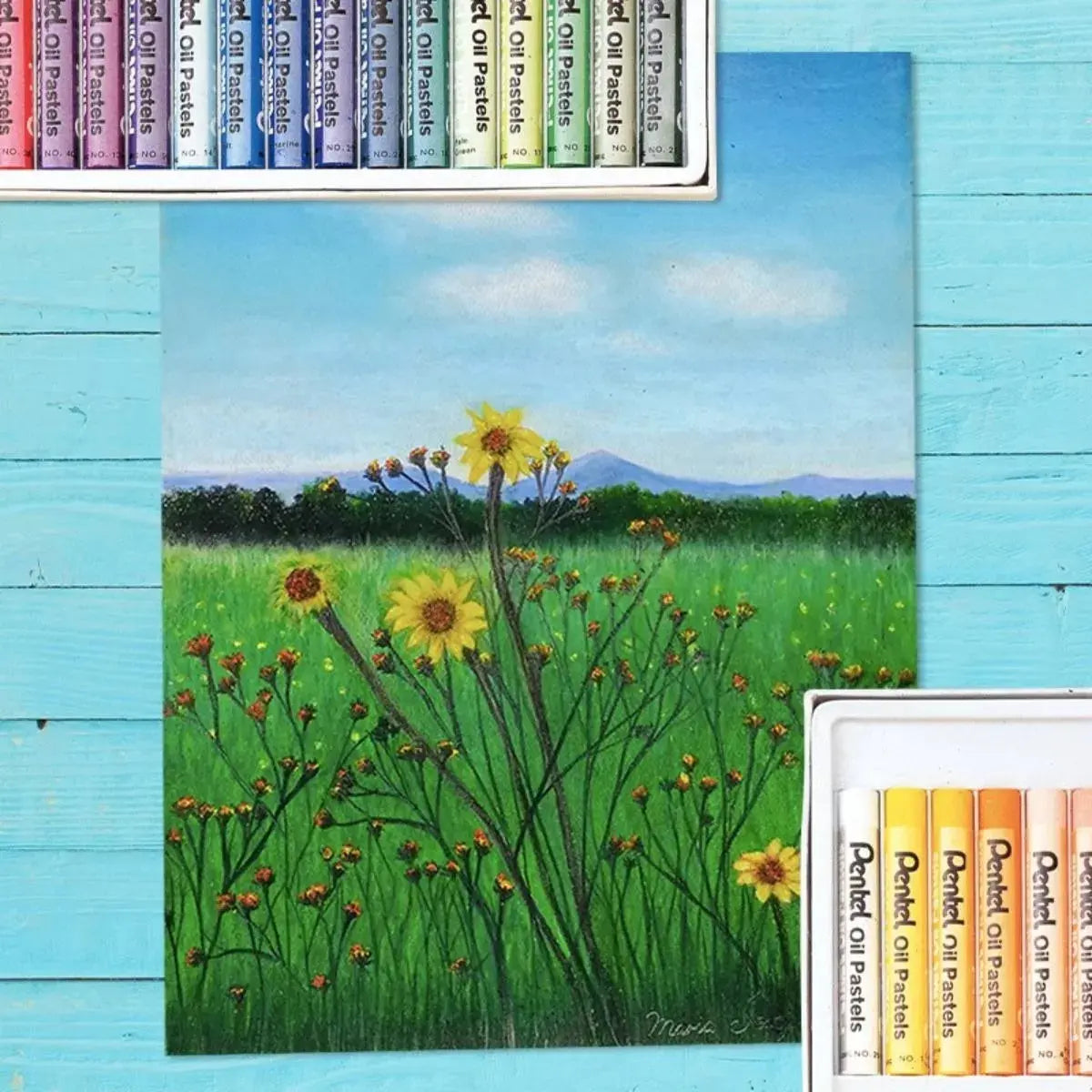 50 Pasteles Gises Tizas De Aceite Pentel Arts Redondos - Polvos Holi - empaque