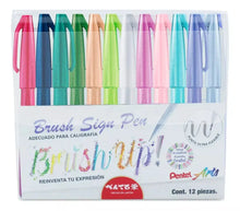 12 Plumas Brushup Pentel Marcador Punta Fieltro Tinta Pastel - Sanelec - empaque