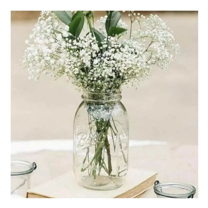 2pz Mason Jars Ball Hermetico Boca Regular 946 Ml Tapa Humo - Coveme