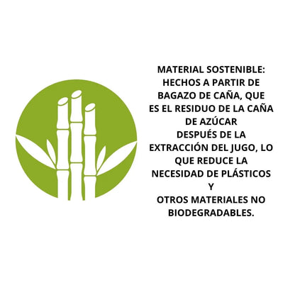 10pz Platos Biodegradable Party Is On Plato Bagazo Caña N°7 - PARTY IS ON