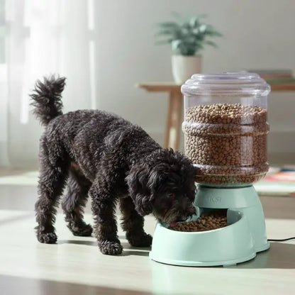 Alimentador Automatico Mascotas Grande de color verde AKSI PETIT - Aksi - vista lateral