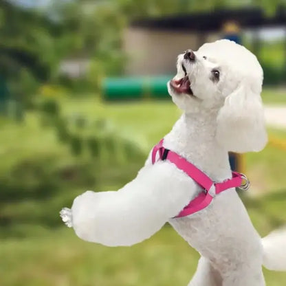 Arnes Para Perro Tipo A Mediano de Color Rosa AKSI PETIT - Aksi - detalle