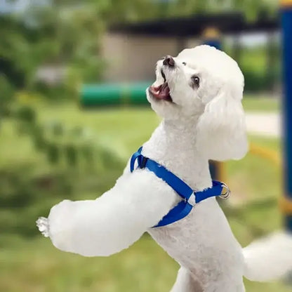 Arnes Para Perro Tipo A Mediano de Color Azul AKSI PETIT - Aksi - vista lateral