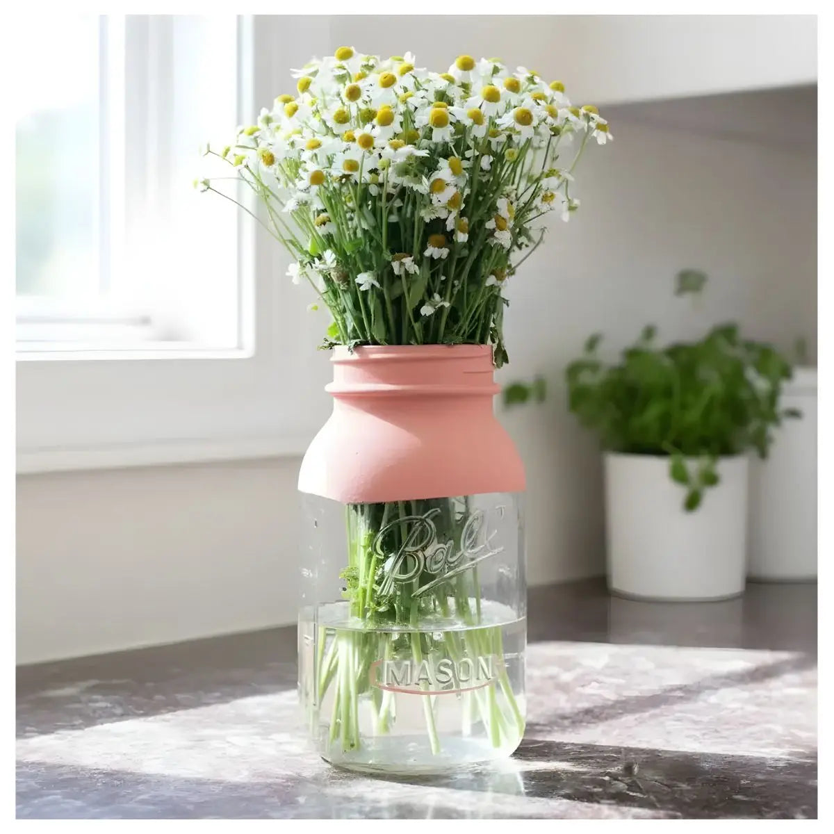 24 Mason Jars Ball 32 Oz Boca Ancha Pieza - Coveme - vista lateral