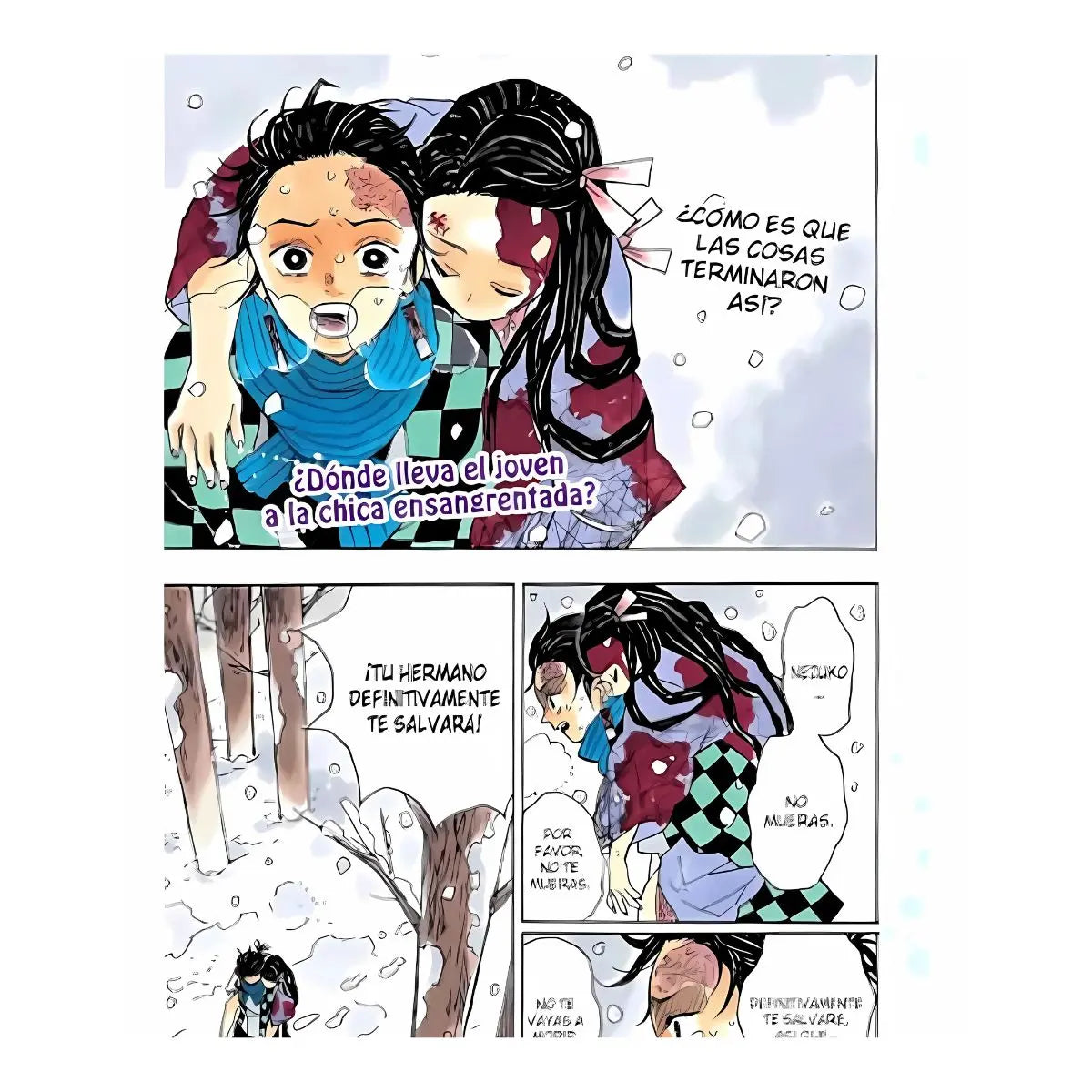 Demon Slayer Flor de la felicidad Panini Manga - Panini