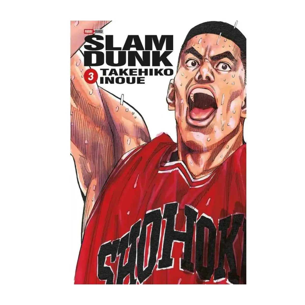 Slam Dunk Manga Panini Anime Tomo A Elegir Español N°3 - Panini