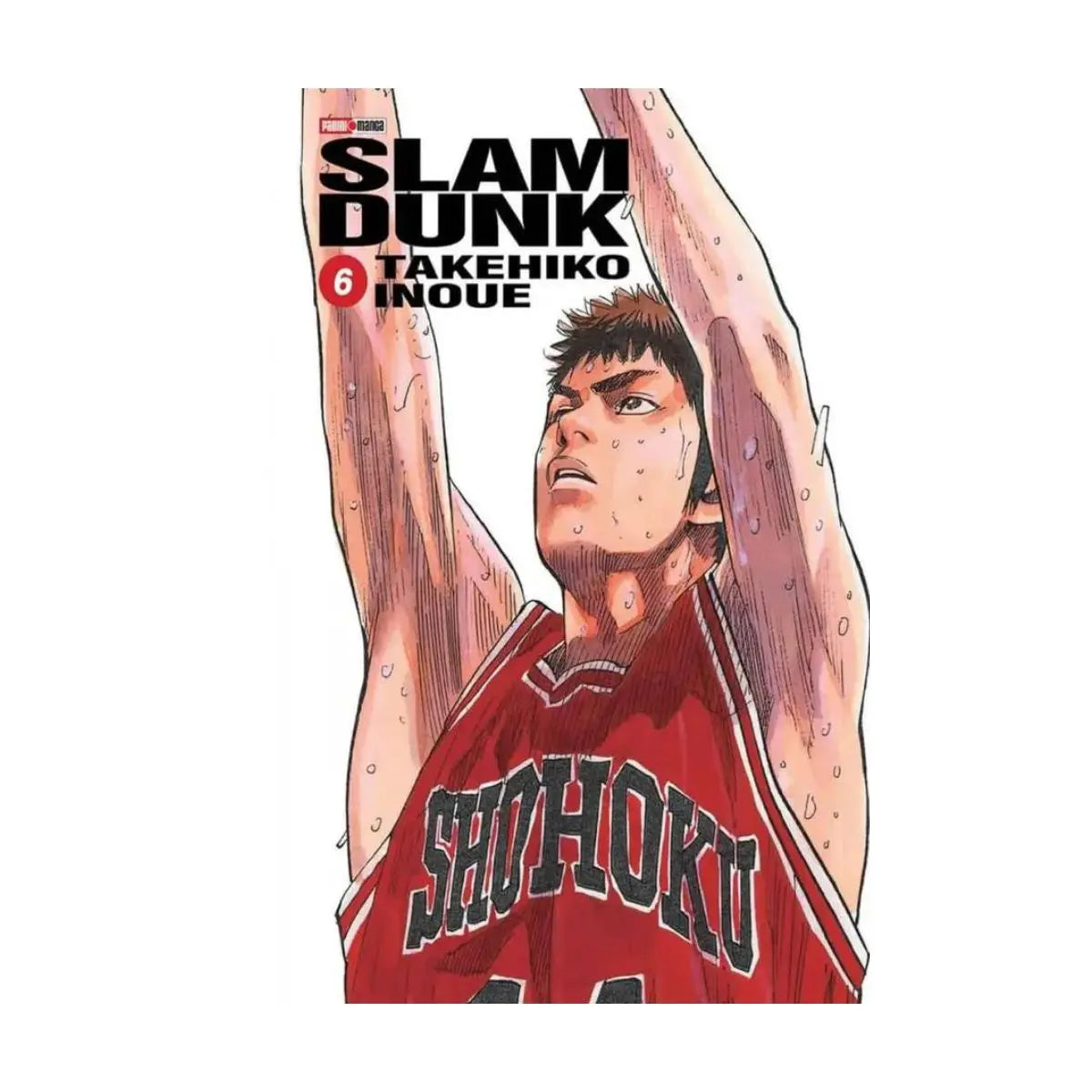 Slam Dunk Manga Panini Anime Tomo A Elegir Español N°6 - Panini