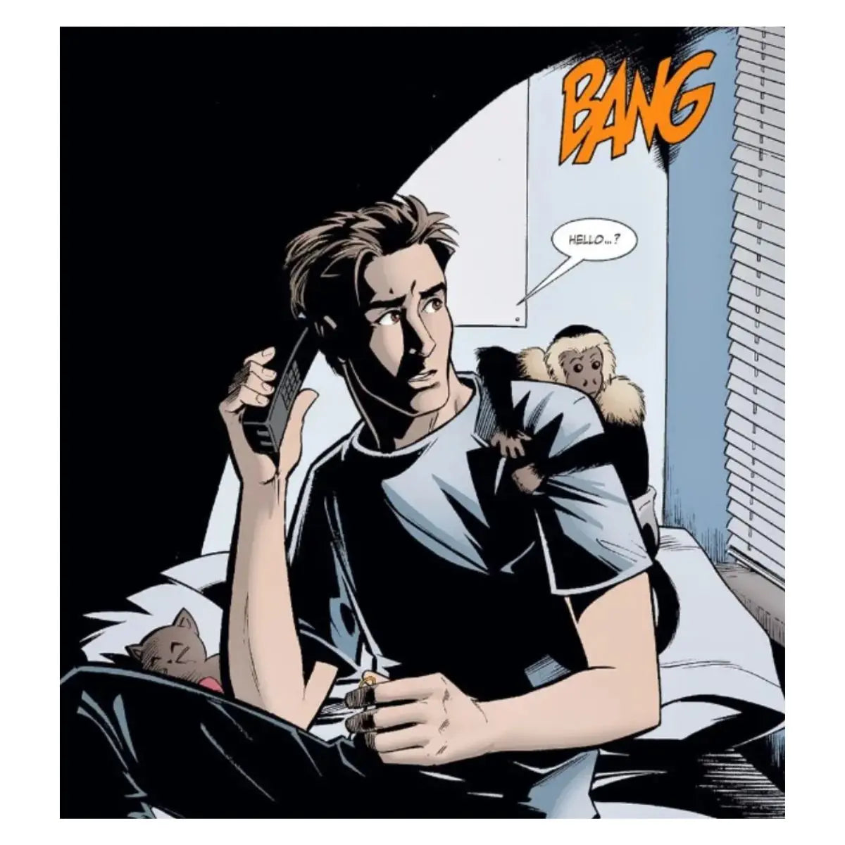 Y THE LAST MAN VOL.01 - Panini - vista lateral