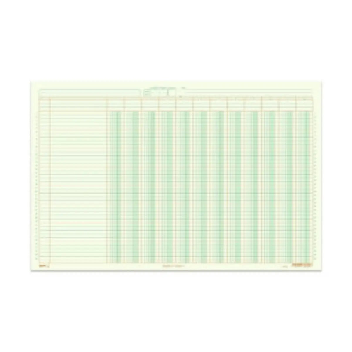 TABULAR 12 COLUMNAS - Rayter