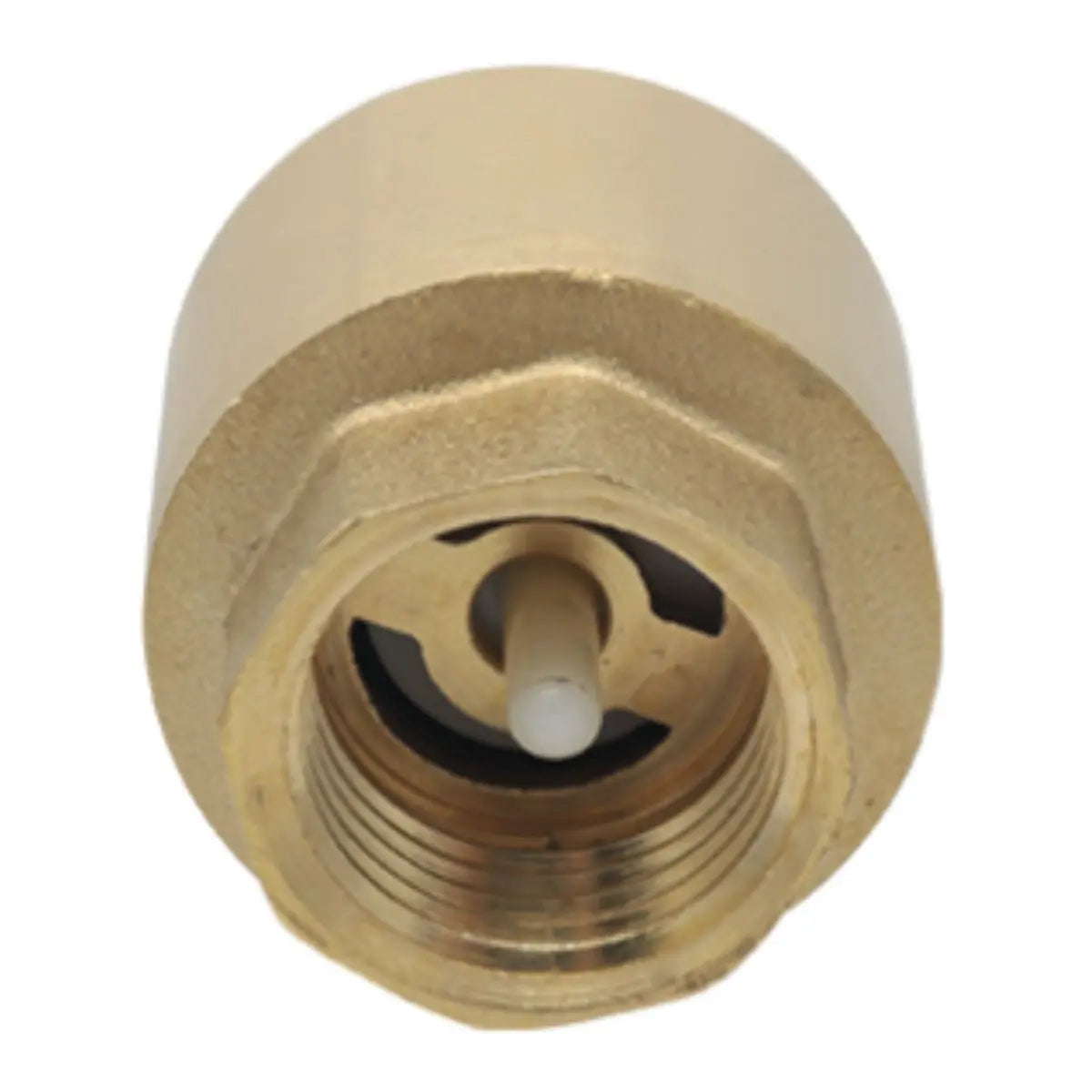 Valvula Chek Resorte 1” x 1” CNX Cuerpo Laton - CNX - vista lateral