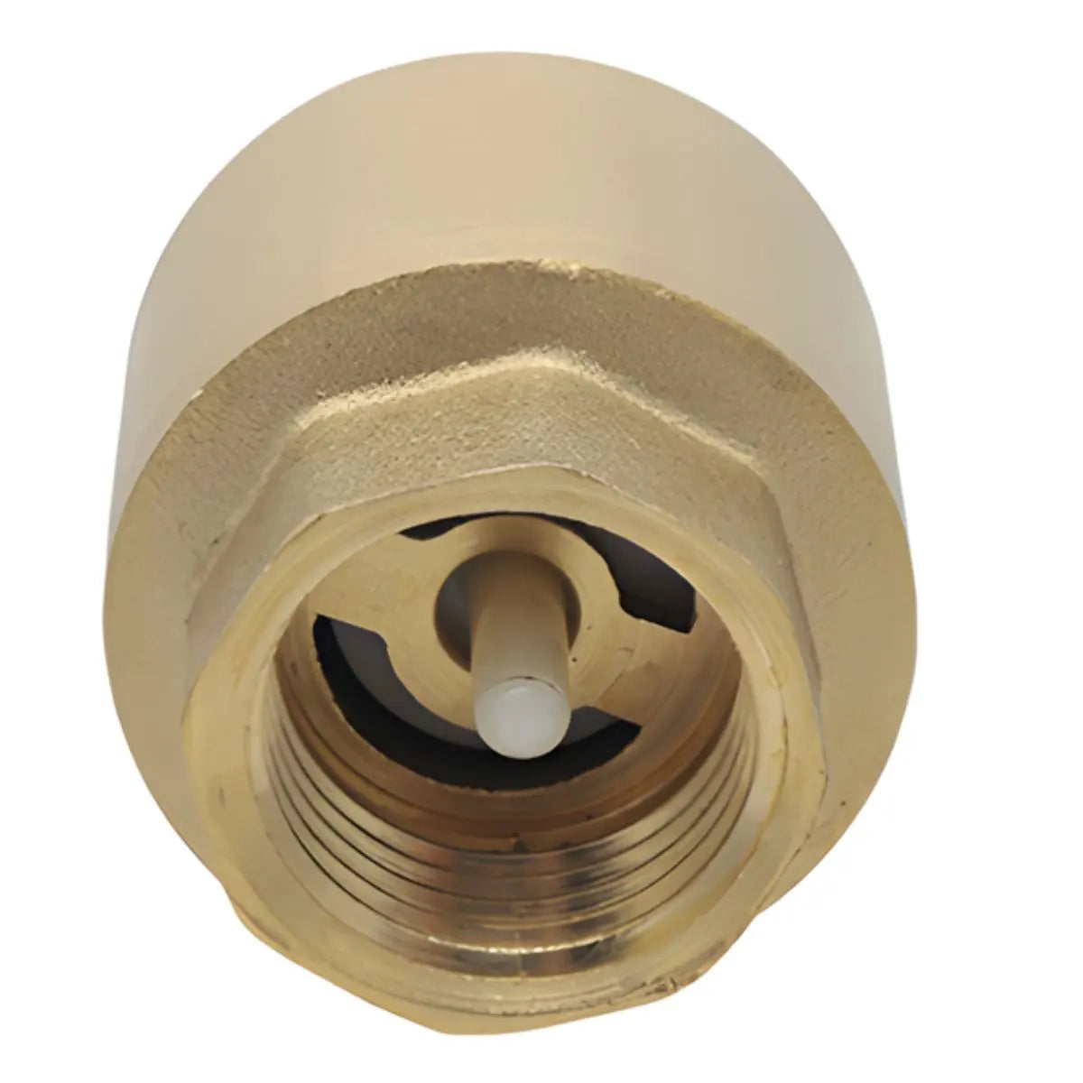 Válvula Check Resorte CNX 3/4" × 3/4" Laton INNER 15PZ - CNX - accesorios