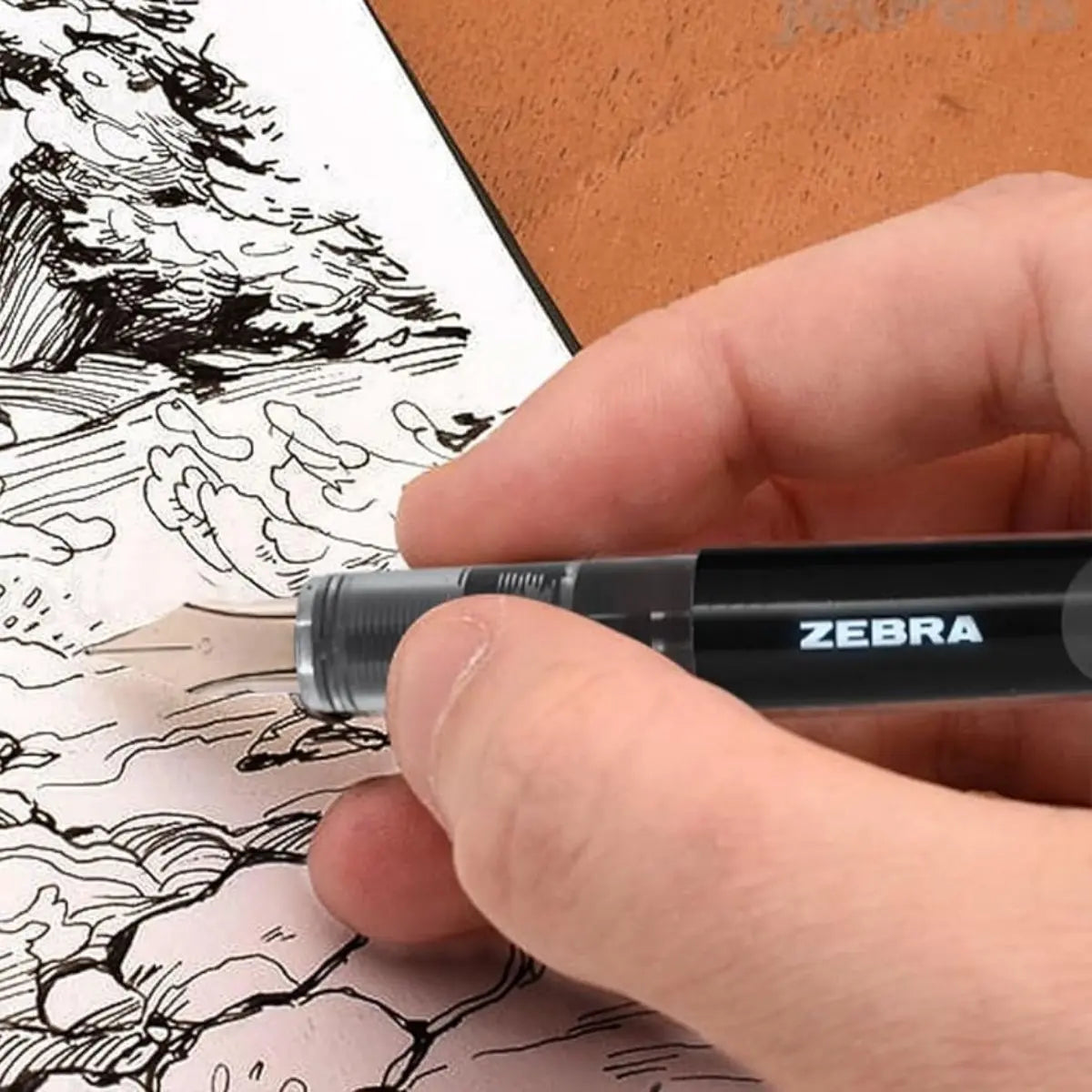Pack 12 Pluma Fuente Z Fountain Pen Zebra Punta Metal Negro - Zebra - empaque