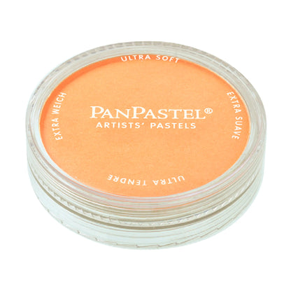 Panpastel - Colores Perlados Pearlescent  blue no 955.5|#bfd9ea|?|?|? / 9 ml - Panpastel - vista lateral