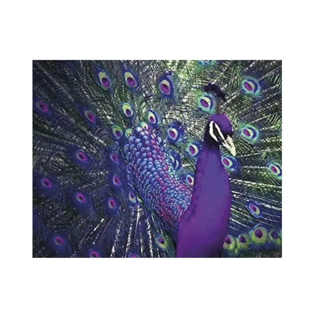 ARTE DIAMANTE PAVO REAL 40 X 50 - Diako