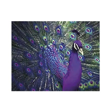 ARTE DIAMANTE PAVO REAL 40 X 50 - Diako