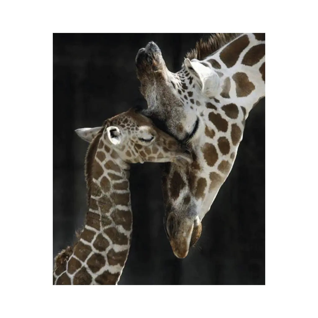 ARTE DIAMANTE AMOR MATERNAL 40 X 50 - Diako