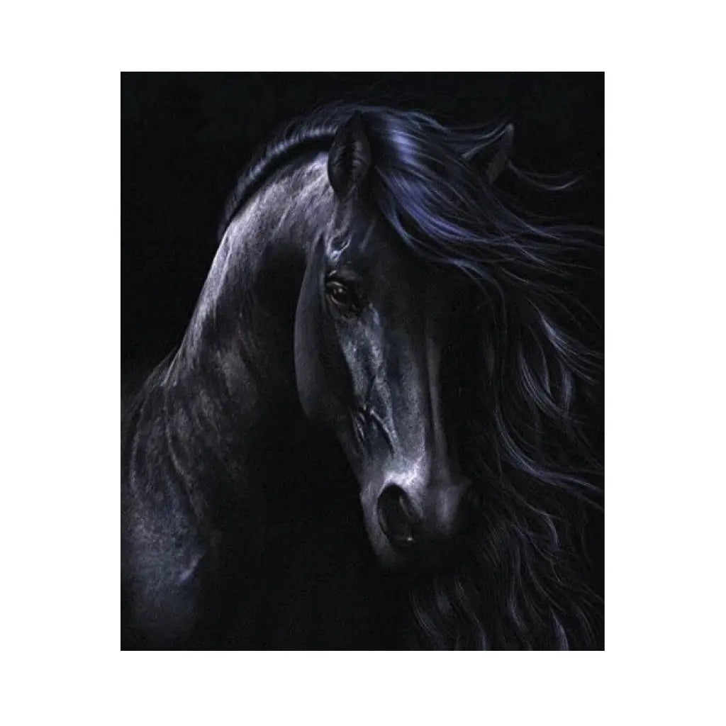 ARTE DIAMANTE CABALLO NEGRO 40X50 - Diako - vista lateral
